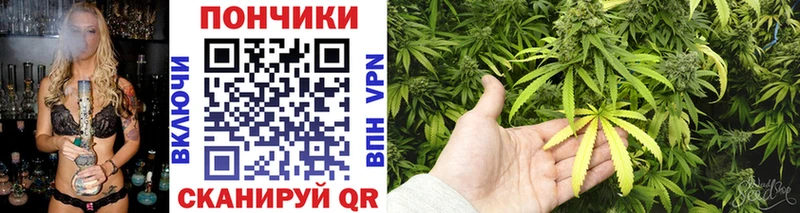 Сколько стоит Остров Бошки Шишки 
