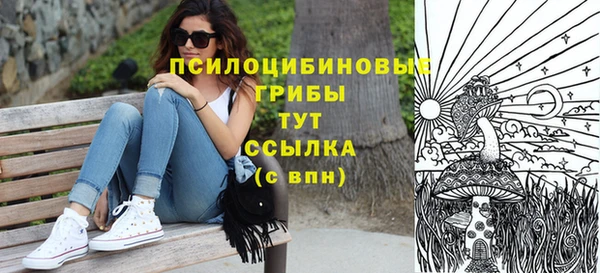 мдпв Верхний Тагил
