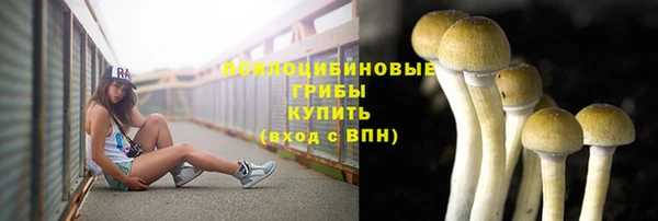 мдпв Верхний Тагил
