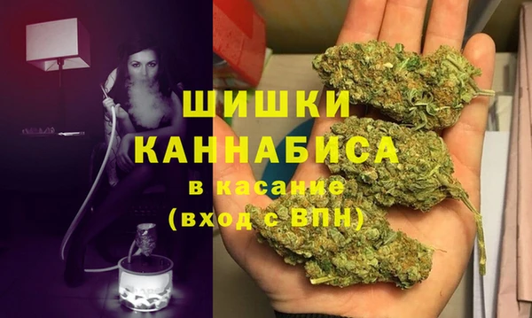 мдпв Верхний Тагил