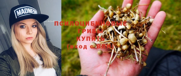 мдпв Верхний Тагил