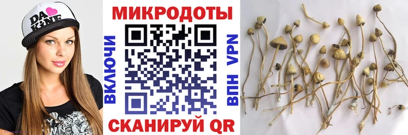 Галлюциногенные грибы прущие грибы  Остров 
