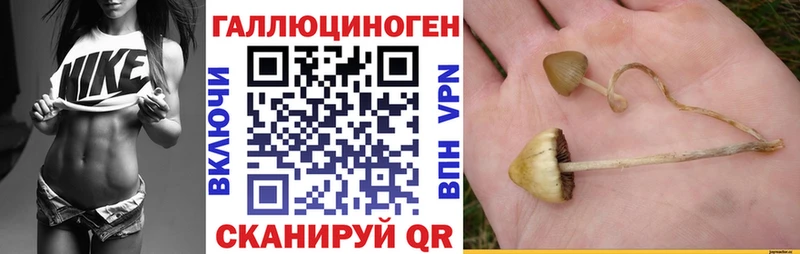 Псилоцибиновые грибы MAGIC MUSHROOMS Остров